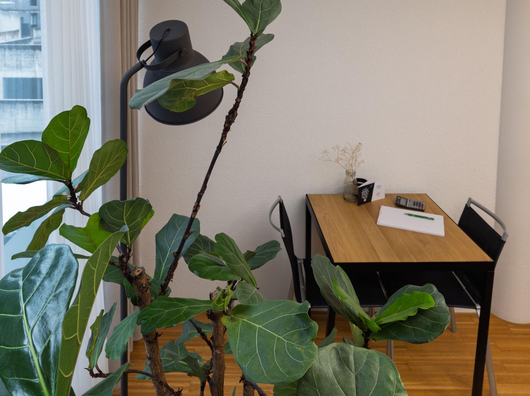 idea Treuhand Sursee